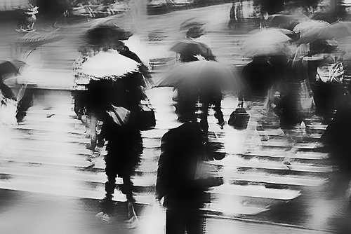 photography,black and white,umbrella,street